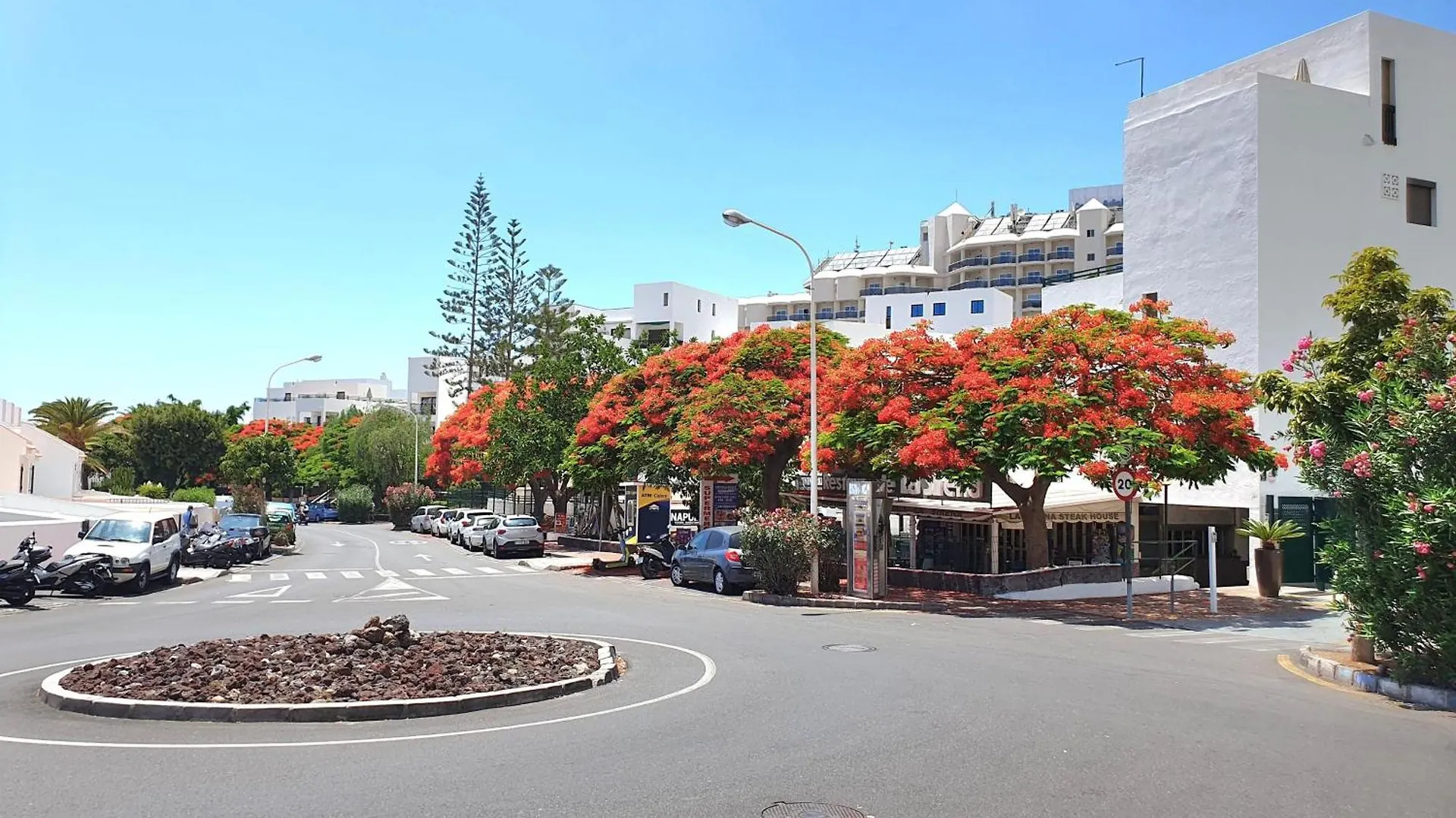 Apartment Orlando Sea Costa Adeje   Costa Adeje (Tenerife)