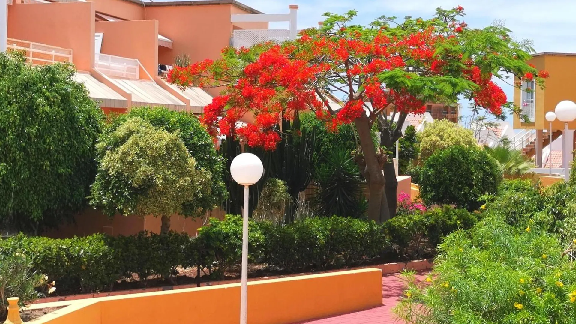 Apartment Orlando Sea Costa Adeje